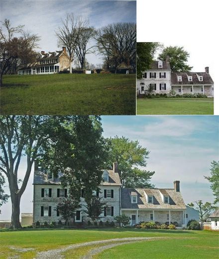 The house.