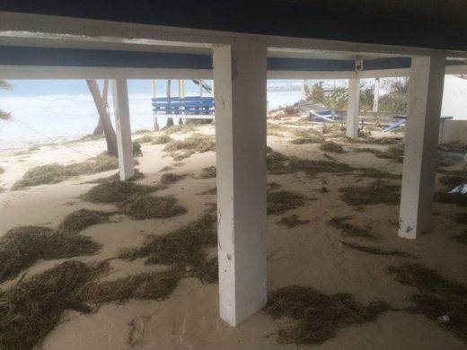What the sea left under the terrace: sand and seaweed up to the pillars.